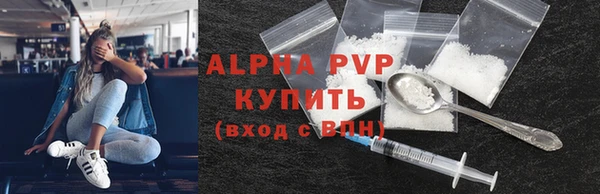 гидра Каменка