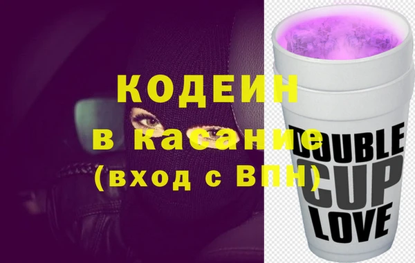 гидра Каменка