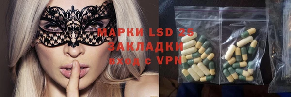 гидра Каменка