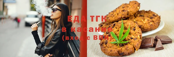 гидра Каменка
