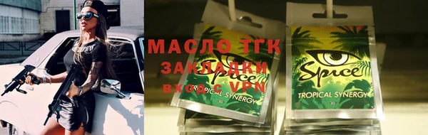 гидра Каменка