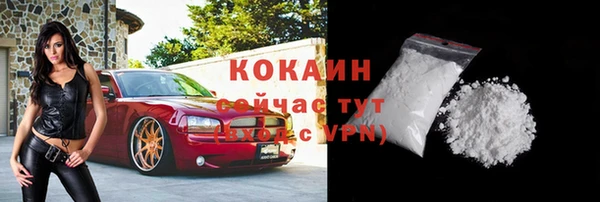 гидра Каменка