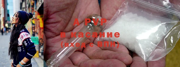 гидра Каменка