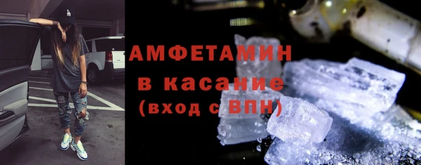 гидра Каменка