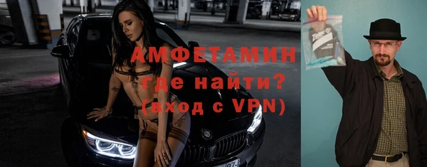 гидра Каменка