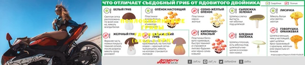 гидра Каменка