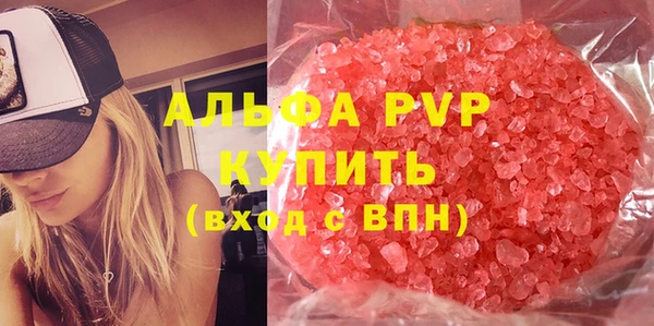 гидра Каменка