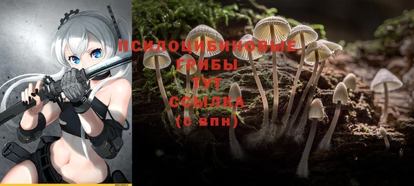 ALPHA-PVP Каменногорск
