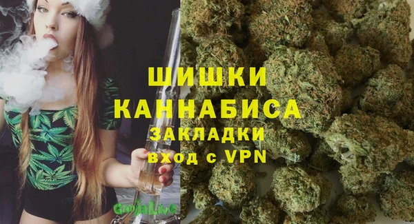 гидра Каменка