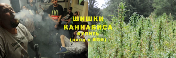 гидра Каменка