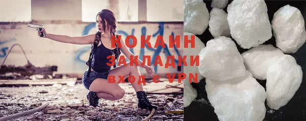 гидра Каменка