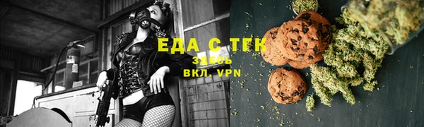 гидра Каменка