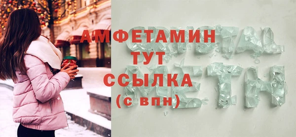 гидра Каменка