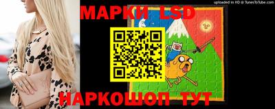 бошки Новодвинск