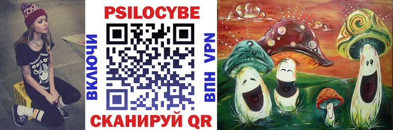 Галлюциногенные грибы Psilocybine cubensis  что такое   Искитим 